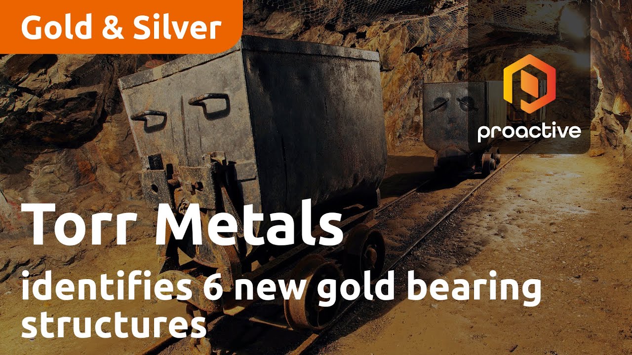 Torr Metals identifies 6 new gold bearing structures at Filion Project