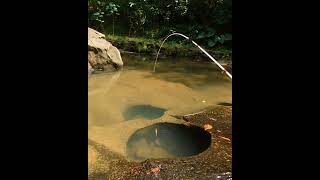 Download lagu Mw Story GANAS SEKALI..!!! Mancing Ikan Wader diSpot Dangkal dan Berbatu (24) #mancingwader mp3