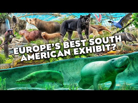 Zoo Tours: Europe's Best South American Exhibit?