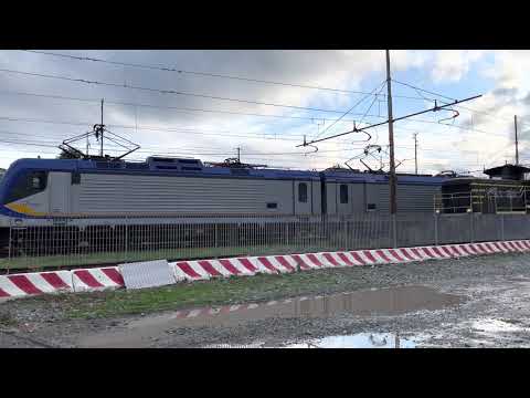 Doppia trazione di E464 (102 & 081) in manovra a Savona Parco Doria