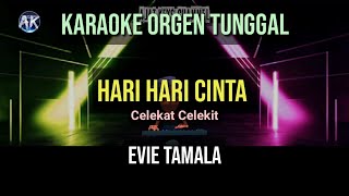 Download lagu HARI HARI CINTA EVIE TAMALA KARAOKE ORGEN TUNGGAL... mp3