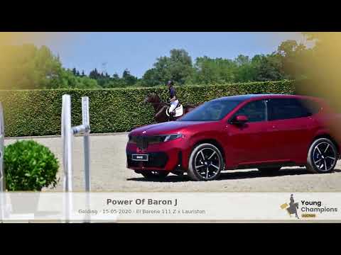 power of baron j