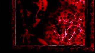 shira - glassjaw (slowed)