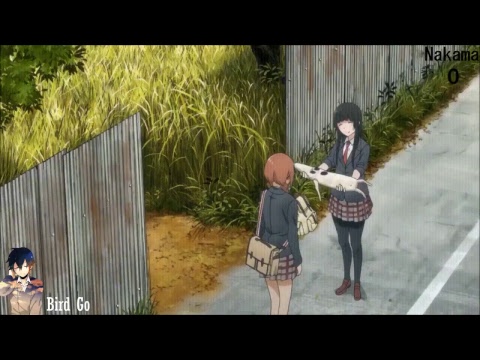 Diffusion en direct de Animusik