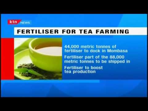 Relief for tea farmers after 88,000 tonnes on fertilizer expected to dock in Mombasa by Friday