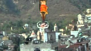 CON FLORES DE MIL COLORES