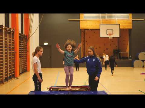 Turnavdelingen i TIF Viking