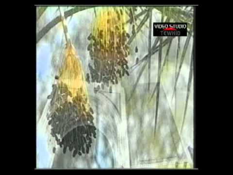 Allahovo obećanje - opis džehennema (pakla)