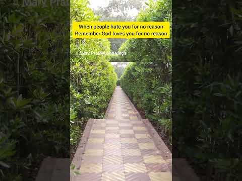 deevinchavesy samrudhiga nee saakshiga nanu brathakamani ✝️🥰 #telugujesussongs #maryprathyushavlogs