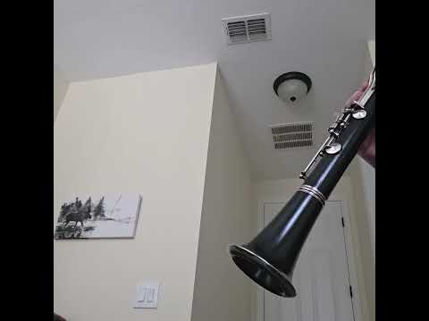 Yamaha Custom YCL-81 Professional Wood Clarinet •  2 Barrels + Vandoren 5RV image 15