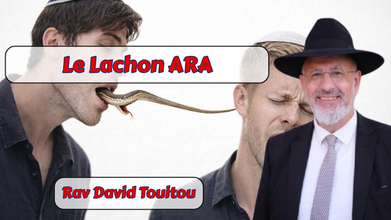 Lachon Ara