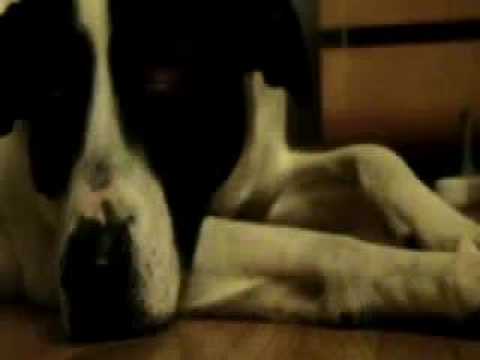 To the Country - Aron Wright