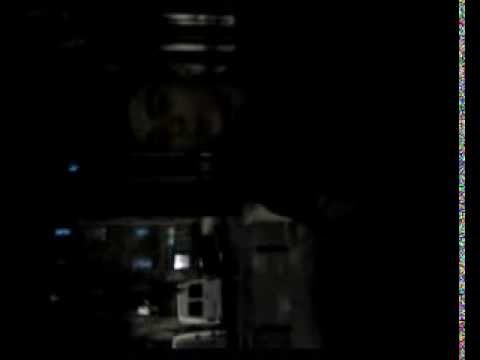 Kobe y Niuto Freestyle