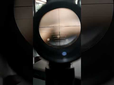 We Tested the Entire Bushnell Scope Lineup. What did we find?