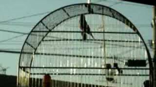 PARDO FANTASMA - VICE BRASILEIRO 2008/2009