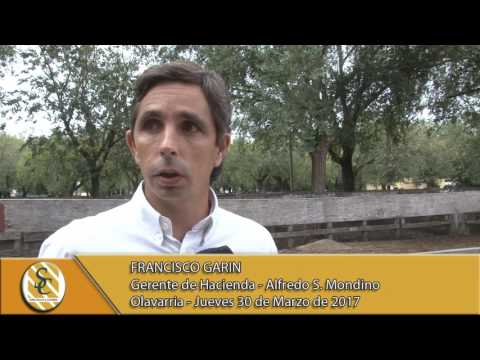 30-03-17 Nota Francisco Garin - Alfredo S. Mondino - Olavarria.