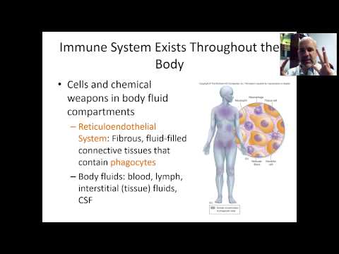 BIO 220 DISTANCE - CHAP 12 - VID 2 - SECOND/THIRD LINES OF DEFENSE - OVERVIEW