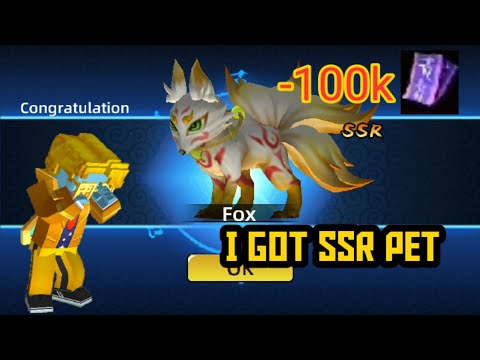 I got 2 SSR pets in Ninja skyrim BlockmanGo