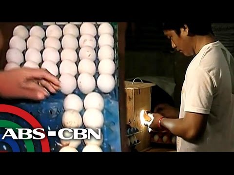Kung paano mawalan ng isang bata 11 taong gulang menu Paano alisin grasa pagkatapos ng 45 taon