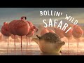ROLLIN` SAFARI - what if animals were round ...