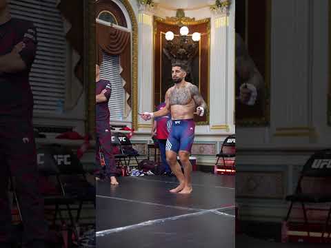 UFC video artwork
