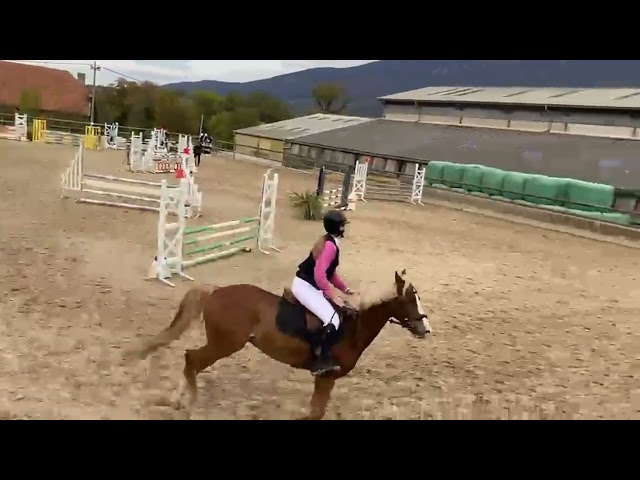 A vendre PFS 6 ans pour CSO