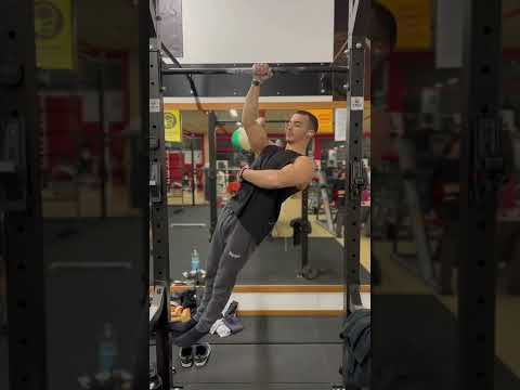 The Perfect one arm pullup - read description