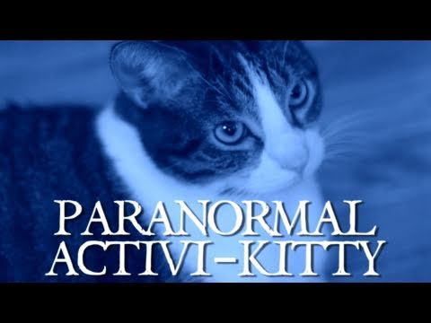 Paranormal Activi-kitty (Comedy Thunder)