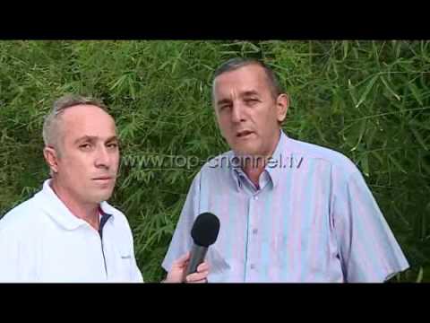 Fiks Fare Highlights, 01/12/2015 - Pjesa 2