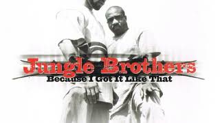 Jungle Brothers ‎– Because I Got It Like That