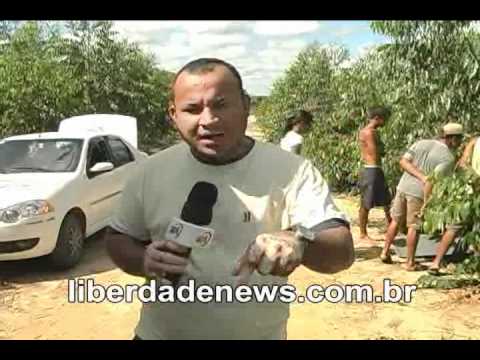 download lagu mp3 mp4 André Gago, download lagu André Gago gratis, unduh video klip André Gago