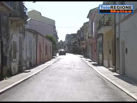 Ururi, tenta di salvare un gattino e precipita dal balcone - 13/06/2016