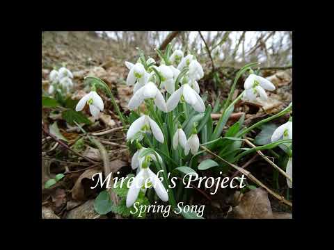 Mireček's Project - Mirecek's Project-Spring Song /guitar instrumental song/