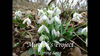 Video Mirecek's Project-Spring Song /guitar instrumental song/