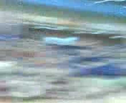 Final ElPozo-Caja Segovia