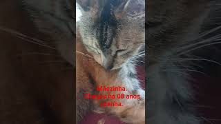 Nunca quis ir embora