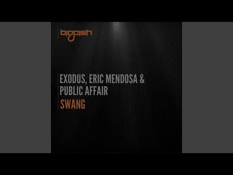 Swang (Original Mix)