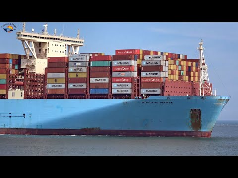 4 MIGHTY Containerships Arrival and Departure - Shipspotting ROTTERDAM May 2021
