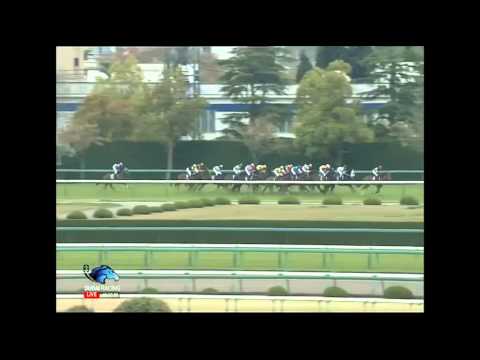 2015.04.12 Oka Sho (Japanese 1000 Guineas) - Let's Go Donki