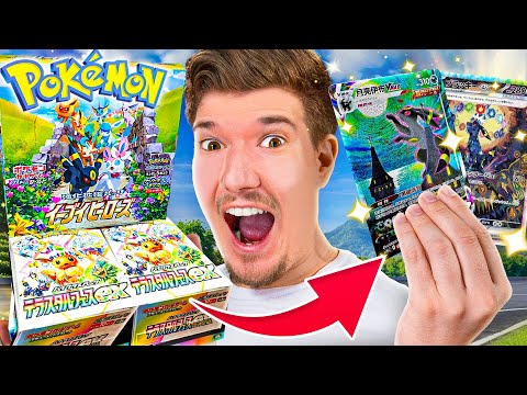 I'm looking for THESE Umbreon cards! Pokémon Eevee Heroes & Terrastal Festival