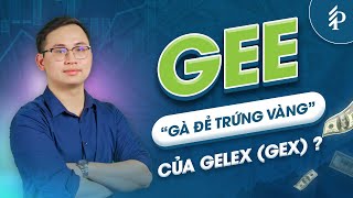 Gelex Electric (GEE): Triển vọng và định giá cổ phiếu 2025?