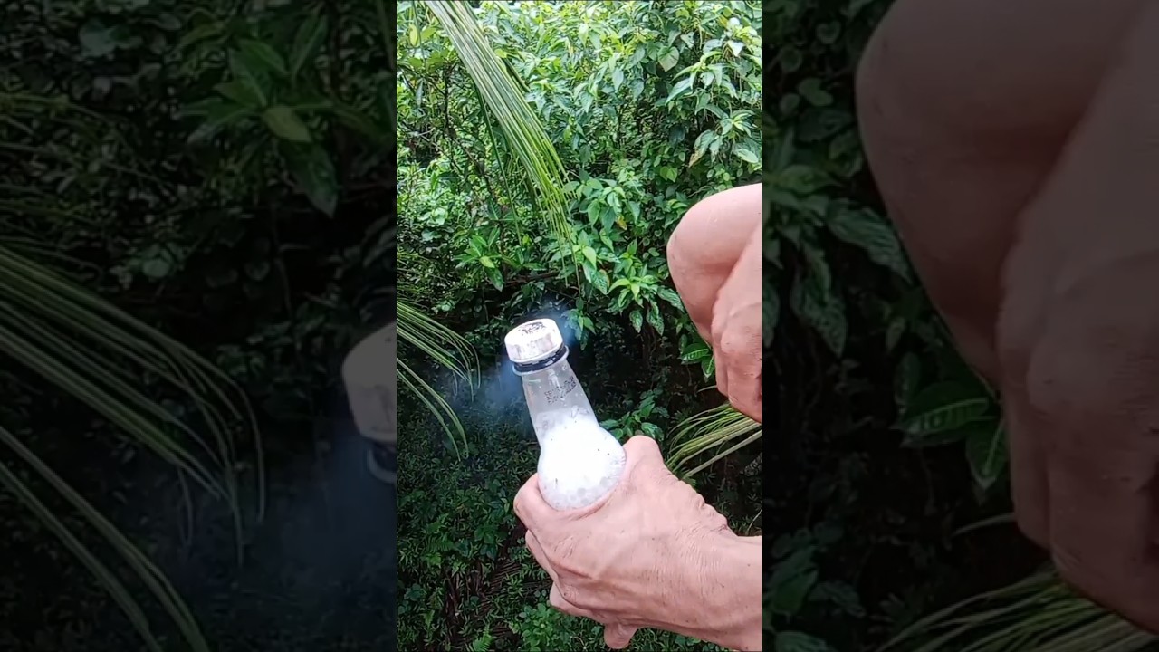 coconut vinegar and wine