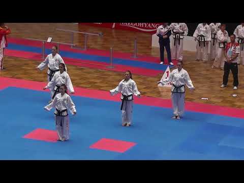 Tým tul seniorky, Czech Republic - D.P.R. Korea