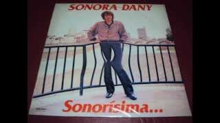 Video thumbnail of "Sonora Dany - El negrito parrandero"