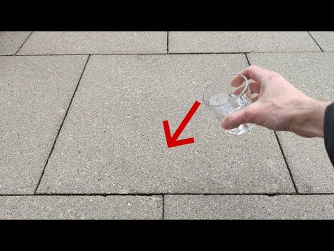 Pflastersteine imprägnieren - Schutz vor Algen und Grünbelag - so einfach geht's