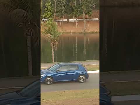 lagoa de hidrolandia goias