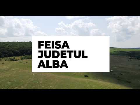 Feisa de la Inaltimi ✈️