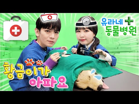 유라 수의사와 토니 간호사의 병원놀이! 키자니아 동물병원 의사놀이  [Yura]