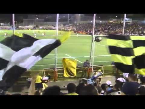 אוהב רק את בית"ר