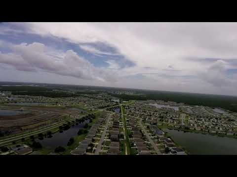 Ritewing Drak Maidens